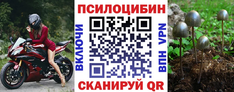 цены   Кореновск  Псилоцибиновые грибы GOLDEN TEACHER 